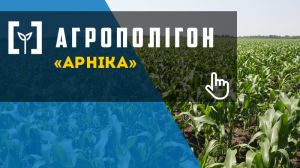 АгроПолігон Арніка: Кукурудза та озима пшениця в сівозміні органічного господарства