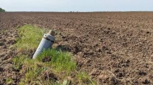 Заміновані поля, посуха та лінія зіткнення за 50 км: як працюють агрономи в Харківській області