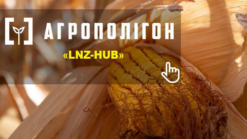 АгроПолігон LNZ-Hub: Кукурудза за крок до жнив