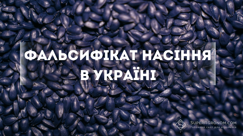 Збитки для всіх: чому в Україні досі продають та купують фальсифіковане насіння?