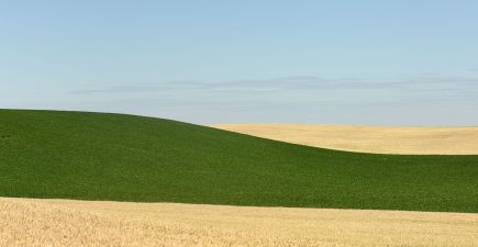 Фотографії українських полів від проєкту TerraGalicia