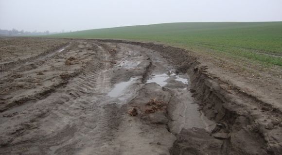 Рясні опади призвели до перезволоження та водної ерозії ґрунтів