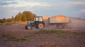 Дотримання технології вирощування переводить картоплю в розряд високоприбуткових культур