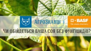 Чи обійдеться ваша соя без фунгіцидів? — АгроЗнавці дають відповіді