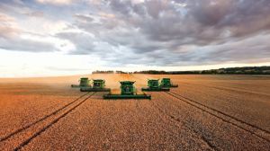 ТОП-3 областей України за кількістю валового збору зерна