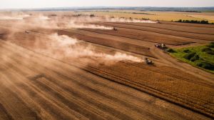 Увійшовши до трійки лідерів за показником урожайності Тернопільщина поступово завершує жнива ранніх зернових