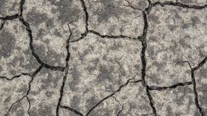 Найбільше від минулорічної посухи постраждали аграрії центральних областей