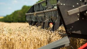 Вітчизняним аграріям вдасться зібрати понад 60 мільйонів тонн зерна — Козаченко