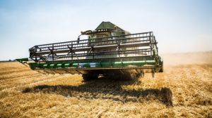 Перша трійка областей, де зібрали озимий ячмінь визначена