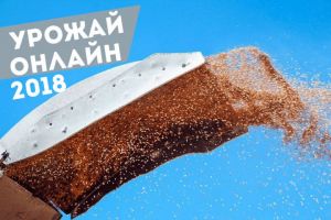 Аграрії зібрали більше 34 млн т зерна — Урожай онлайн 2018