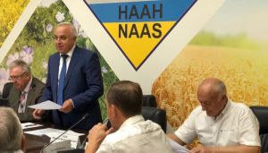 Українські селекціонери вдвічі збільшили врожайність кукурудзи та зробили її стійкішою до посухи
