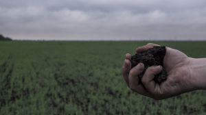 Оприлюднено рейтинг найзаможніших українських агробізнесменів