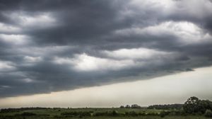 На Заході та Півночі погода стримувала посівну пізніх ярих культур