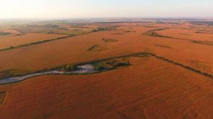 В Україні створять аграрний реєстр