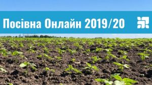 Названо області з найбільшим приростом посівних площ під соняшником