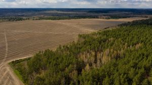 У Раді планують скасувати право постійного користування земельними ділянкам