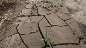 В Україні впроваджуватимуть іригаційну реформу: боротьба з ерозією ґрунтів та посухою