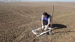 На Івано-Франківщині провели аналіз ґрунту на заселеність шкідниками