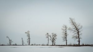 В Україні очікуються дощі, сніг та ожеледиця