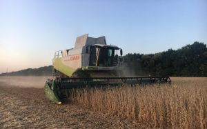 Збирання сої комбайном Claas