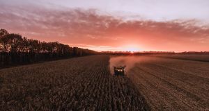 Онлайн-сервіс WEAGRO дасть можливість фермерам кукупувати все необхідне в розстрочку