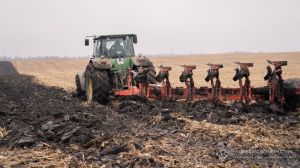 На Чернігівщині в прикордонному районі цьогорічний агросезон вважають досить вдалим