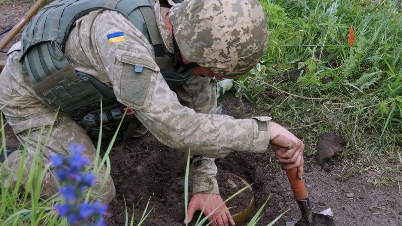 Розміновані поля Донбасу будуть непридатні для сільського господарства