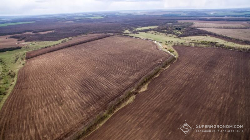 Дніпропетровщина завершує посівну пізніх ярих культур