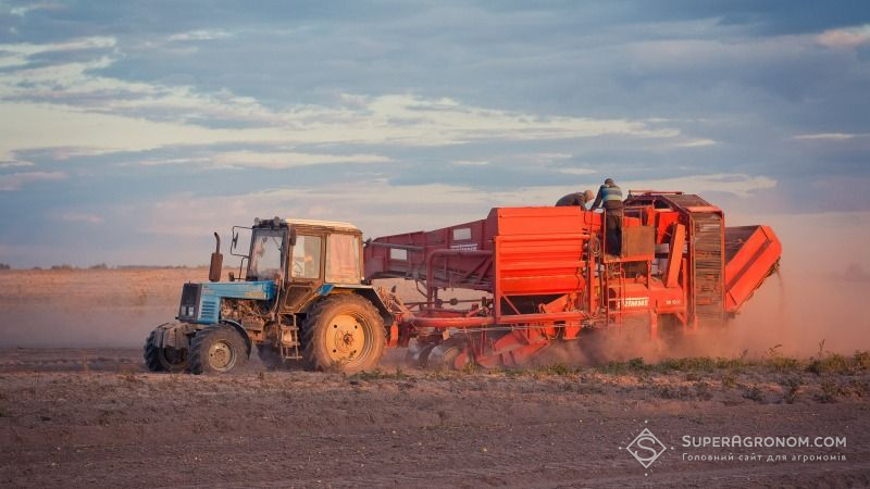 Господарства Дніпропетровщини зібрали понад 207 тис. тонн картоплі