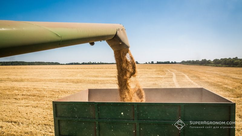 Цьогоріч Буковина зібрала рекордний урожай зерна, овочів та фруктів