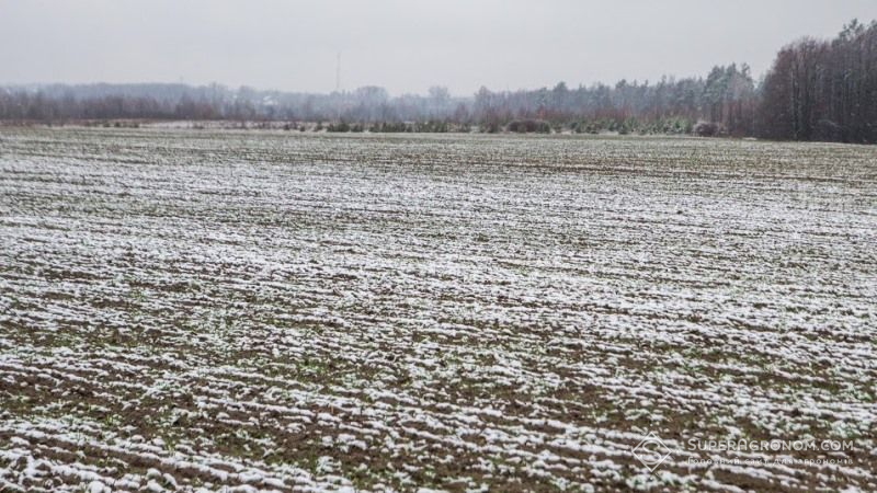 У південних областях України посіви озимих культур знаходяться в доброму та задовільному стані