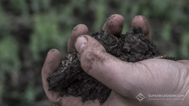 Менше 1% земель в Україні зайнято під органічним землеробством