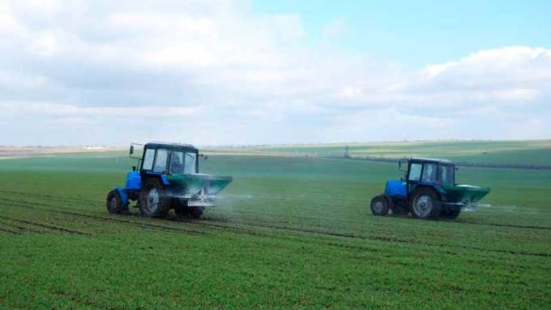 На Хмельниччині підживлюють озимі та готуються до весняної посівної