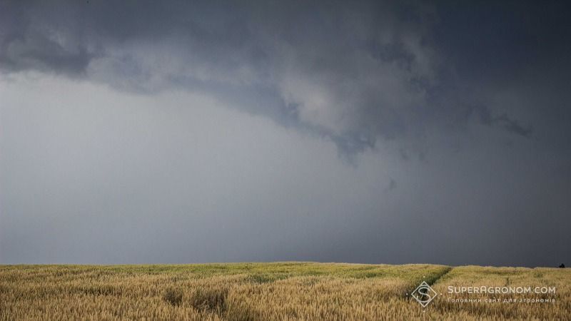 Кліматичні зміни провокуватимуть появу нових погодних аномалій та хвороб сільгоспкультур