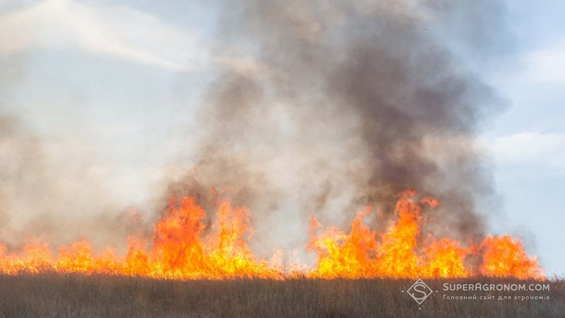 В Україні оголошено найвищий рівень пожежної небезпеки