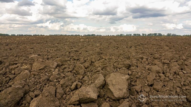 За розораністю земель Україна перша в світі