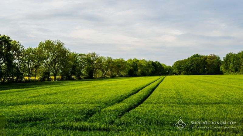 Аграріїв закликають дотримуватись контролю зон, вільних від карантинних організмів