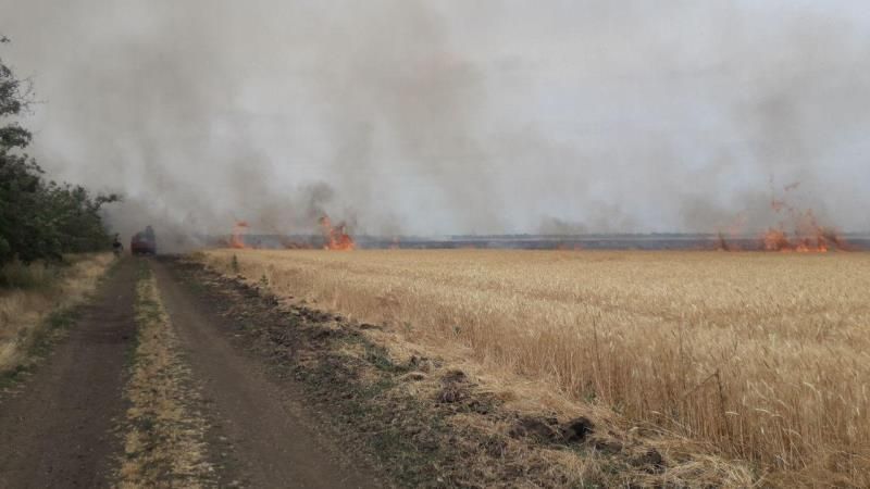 На Запоріжжі горять пшеничні поля