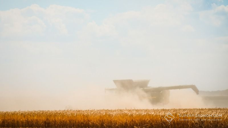 Сільгоспвиробники Полтавщини приступили до жнив ранніх зернових