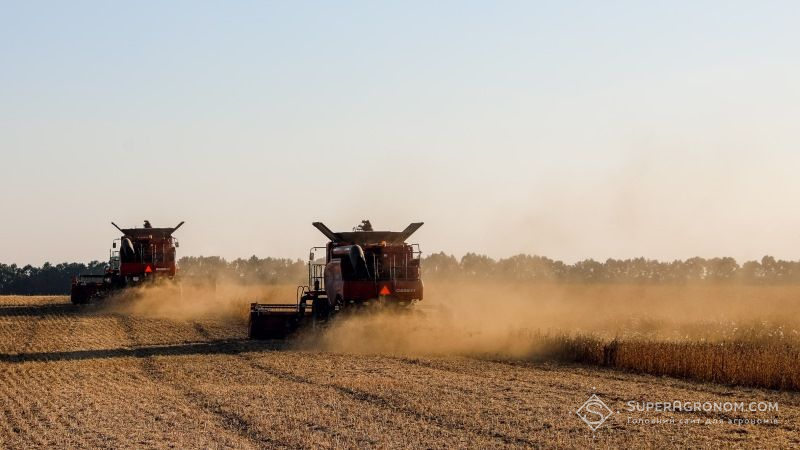 Аграрії Сумщини приступили до жнив ранніх зернових