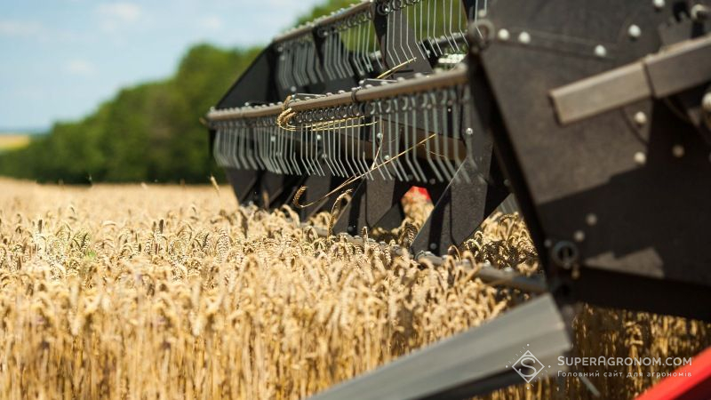 Ранні зернові зібрано з половини площ