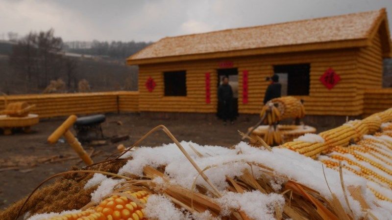 Фермер побудував унікальну садибу з кукурудзяних качанів