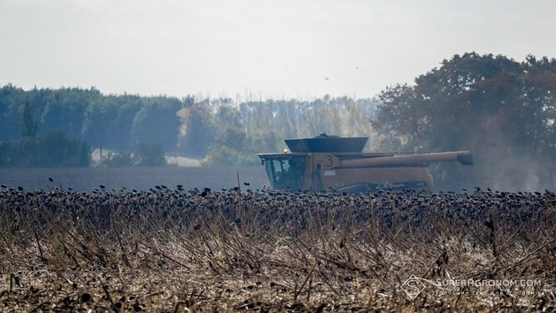 На півдні Україні стартували жнива соняшнику 