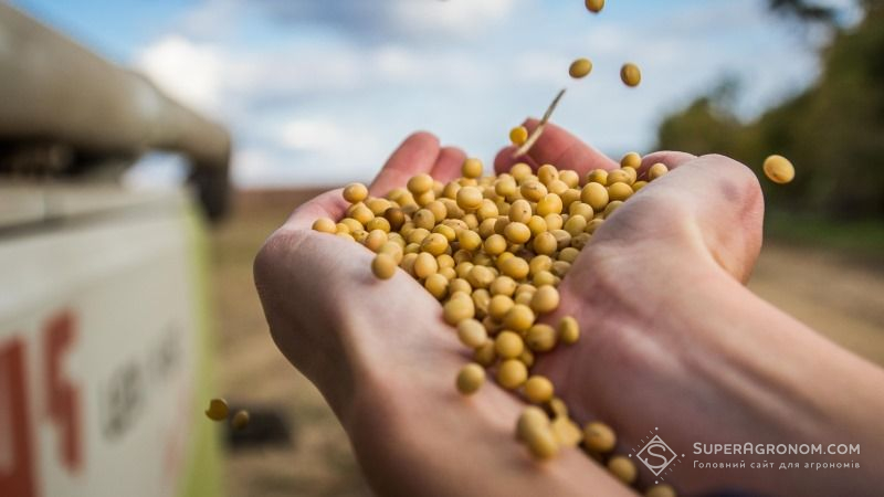 Огляд закупівельних цін на сільськогосподарську продукцію у період з 3 по 7 вересня