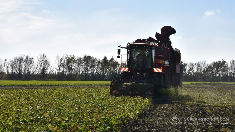 Вслід за жнивами пізніх культур на Київщині розпочали копати цукровий буряк