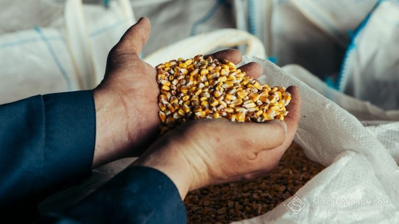 Огляд закупівельних цін на сільськогосподарську продукцію у період з 1 по 5 жовтня