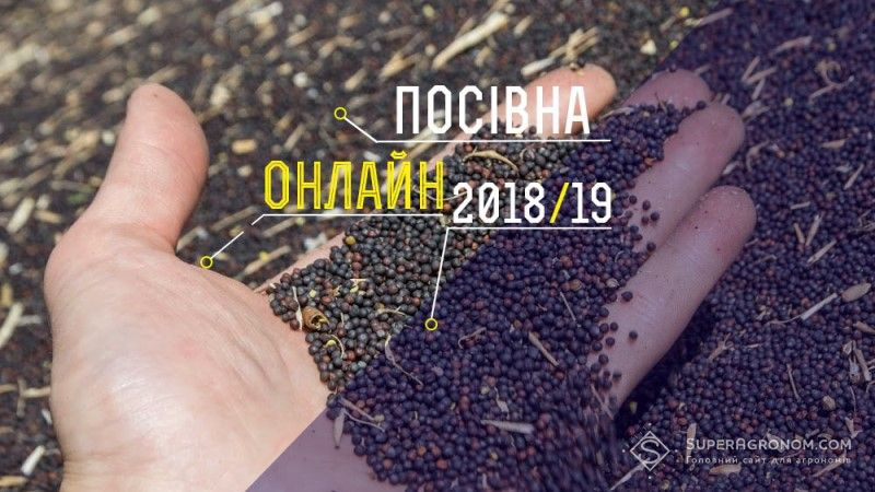 Озимими зерновими засіяно практично 90% площ — «Посівна Онлайн 2018/19»