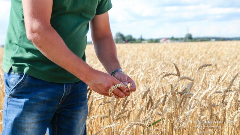 Визначено рейтинг кращих працедавців сфери агрохімії та насінництва