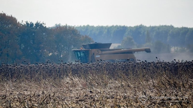 Визначено, які пізні культури аграрії зберуть першими