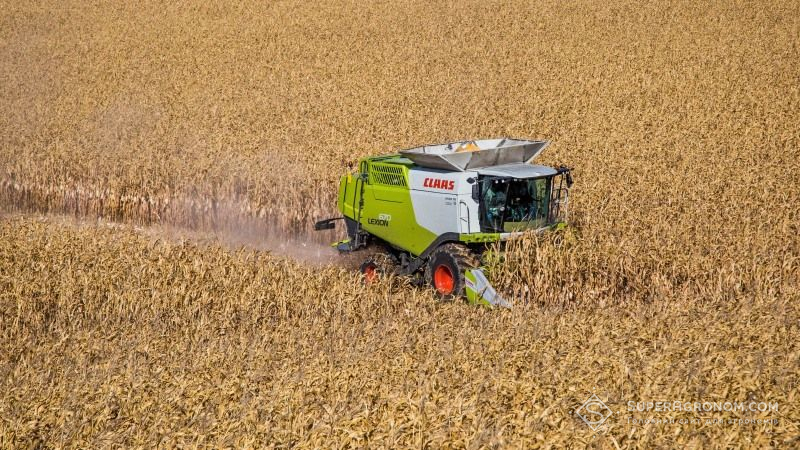 Полтавщина у лідерах за валовим збором зерна